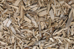 biomass boilers Diurinis